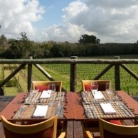 H. Stagnari Winery - Wine Paths